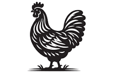 Farm Hatching Eggs