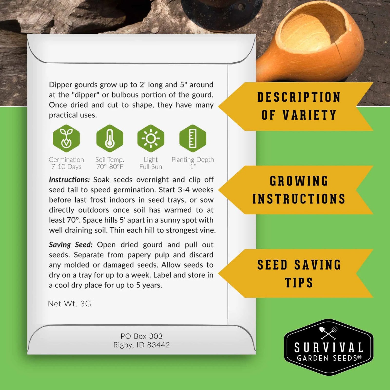 Gourd Seed Collection – Dipper Gourds & Luffa (Loofah) Gourds for Crafting,
