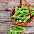 Clemson Spineless Okra – 50 Seeds