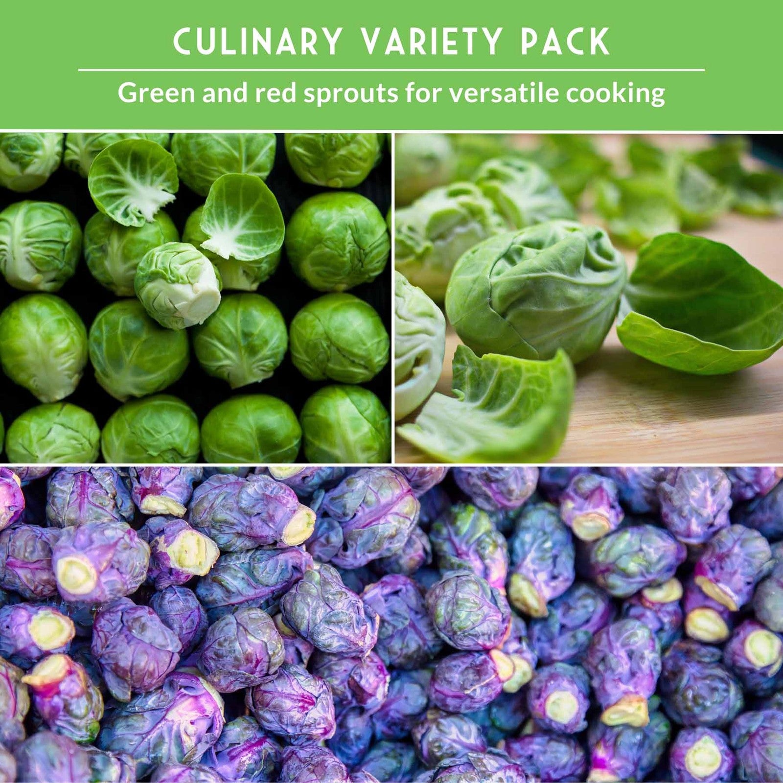 Brussels Sprouts Seed Collection – Red, Catskill & Long Island Improved