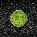 Duckweed