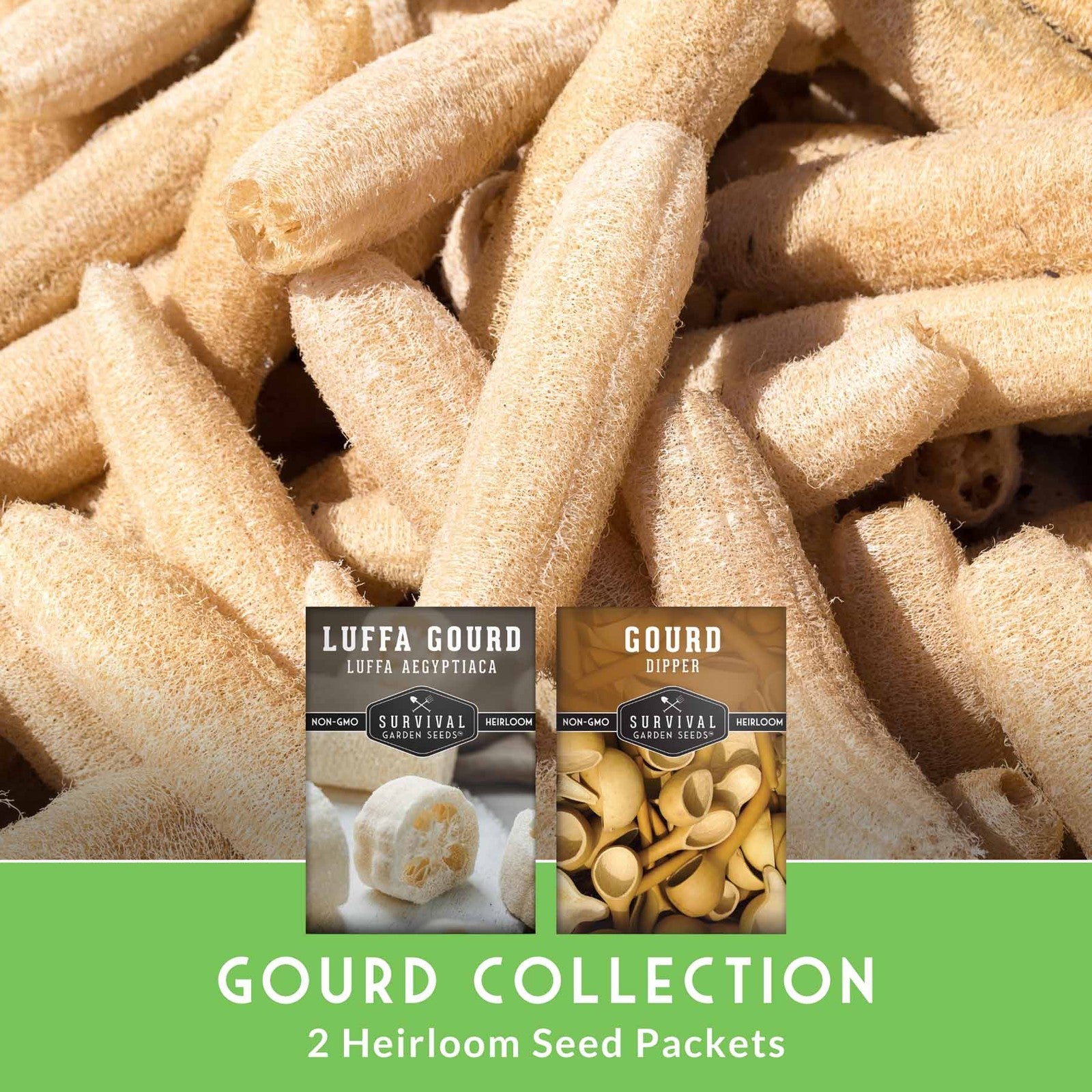 Gourd Seed Collection – Dipper Gourds & Luffa (Loofah) Gourds for Crafting,