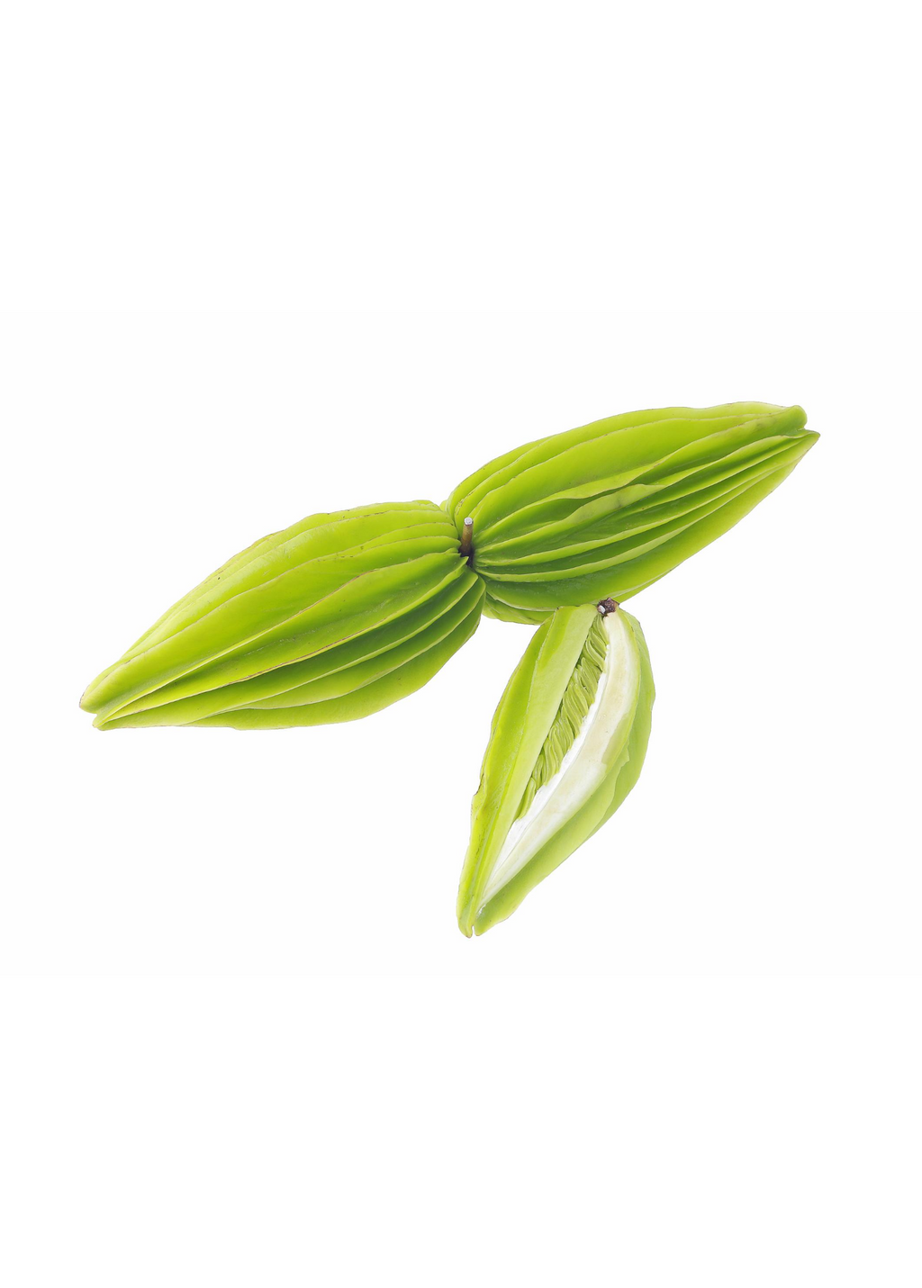 Bitter Leaf Tree (Gymnanthemum extensum)