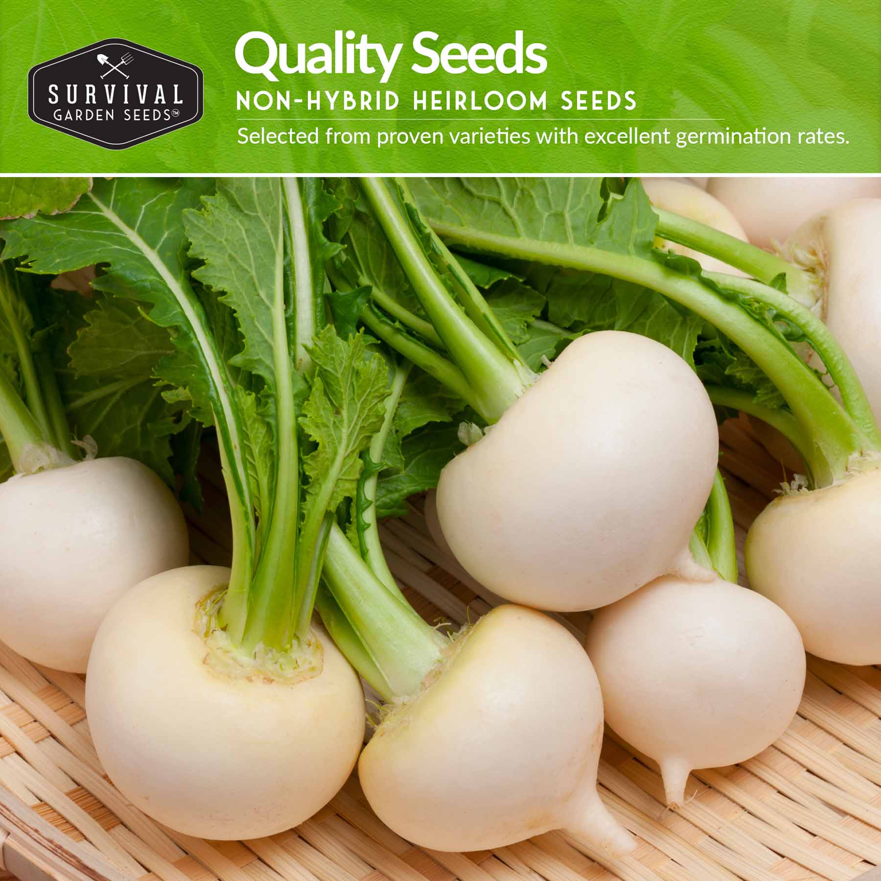 Turnip & Rutabaga Seeds Collection – Heirloom Non-GMO Varieties for Fall & Spring Gardens