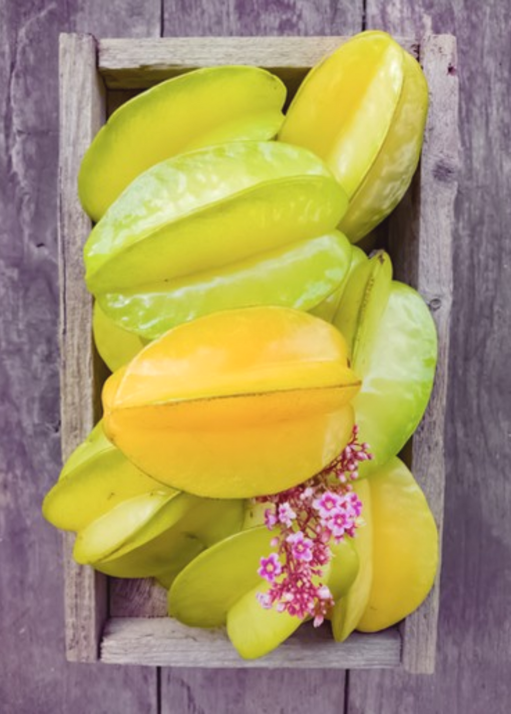 Star Fruit 'Kajang' (Averrhoa carambola)