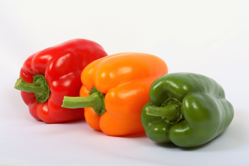 150 RAINBOW BELL PEPPER Sweet Red, Green, Yellow, Orange, Purple, Brown, & White Capsicum Annuum Vegetable Seeds