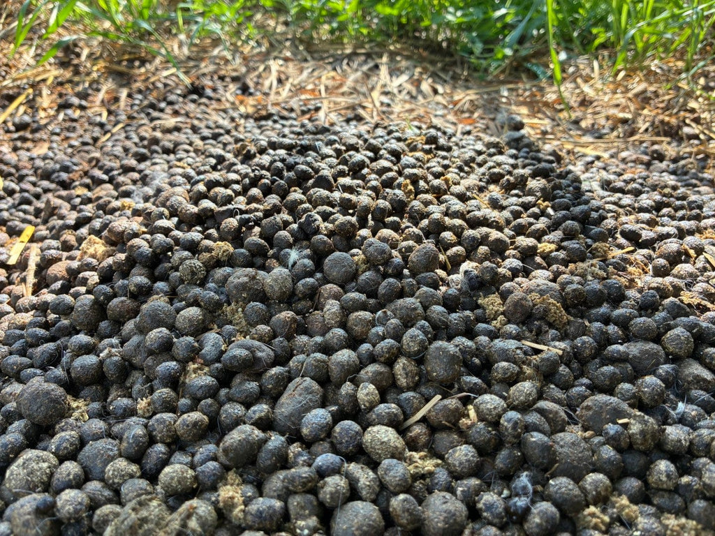 Organic Rabbit Manure Pellets