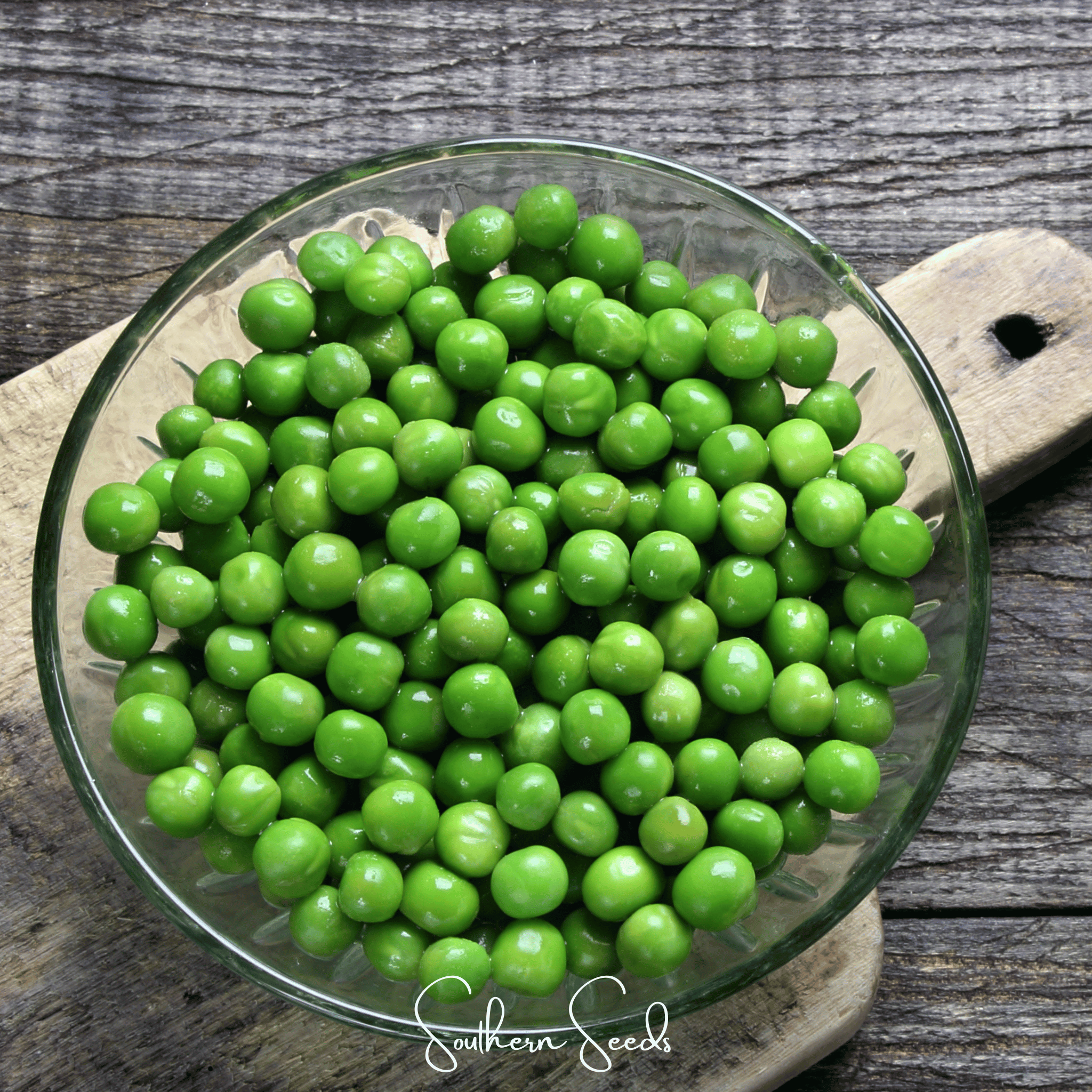 Early Frosty Peas – 25 Seeds