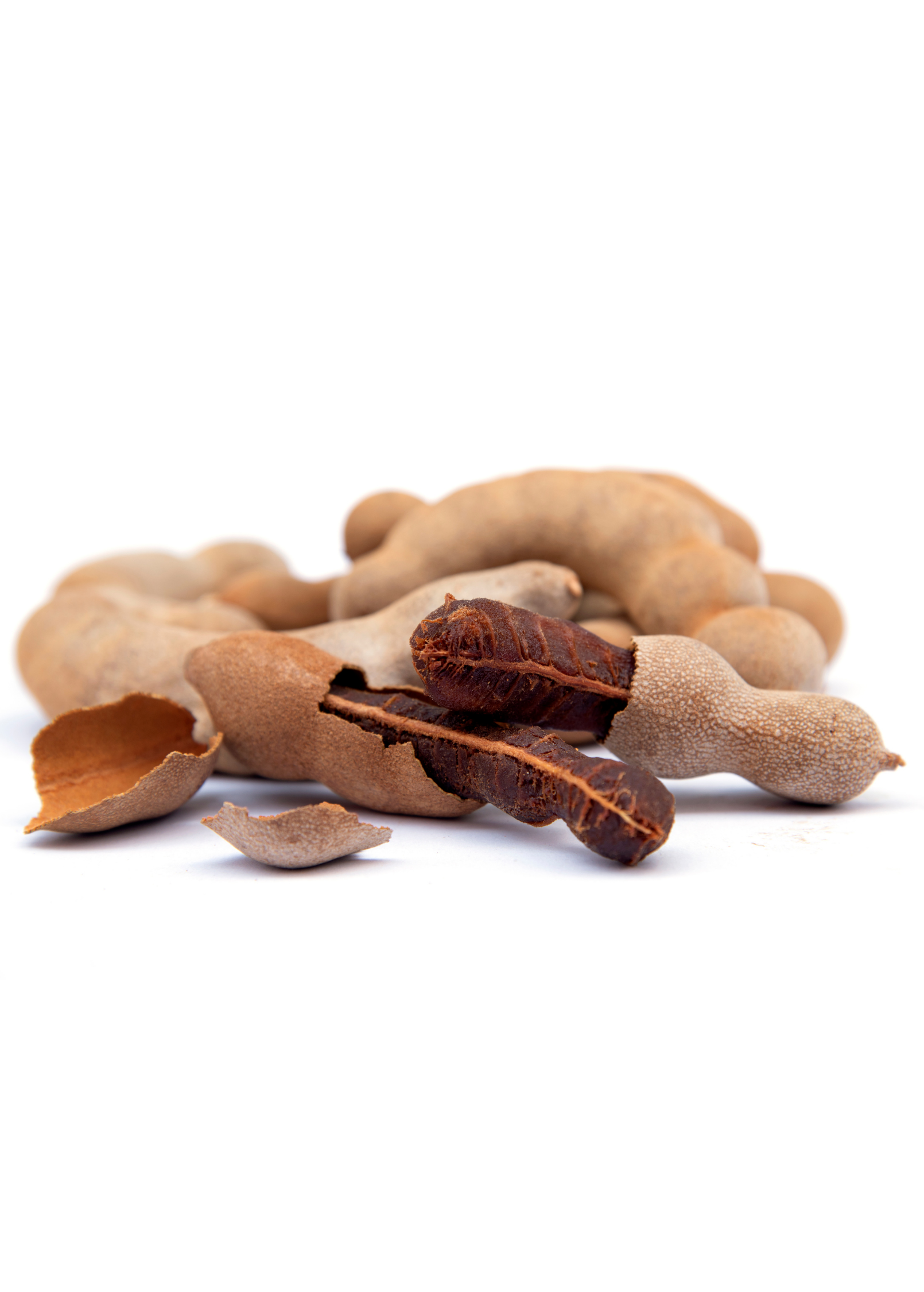 Tamarind, Tart (Tamarindus indica)